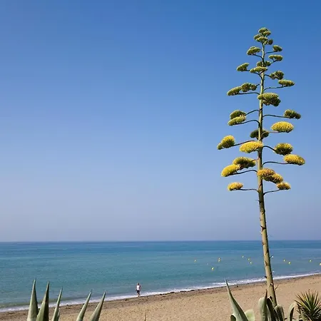 322 Heaven Apartments, Guadalmansa Playa Apartment *